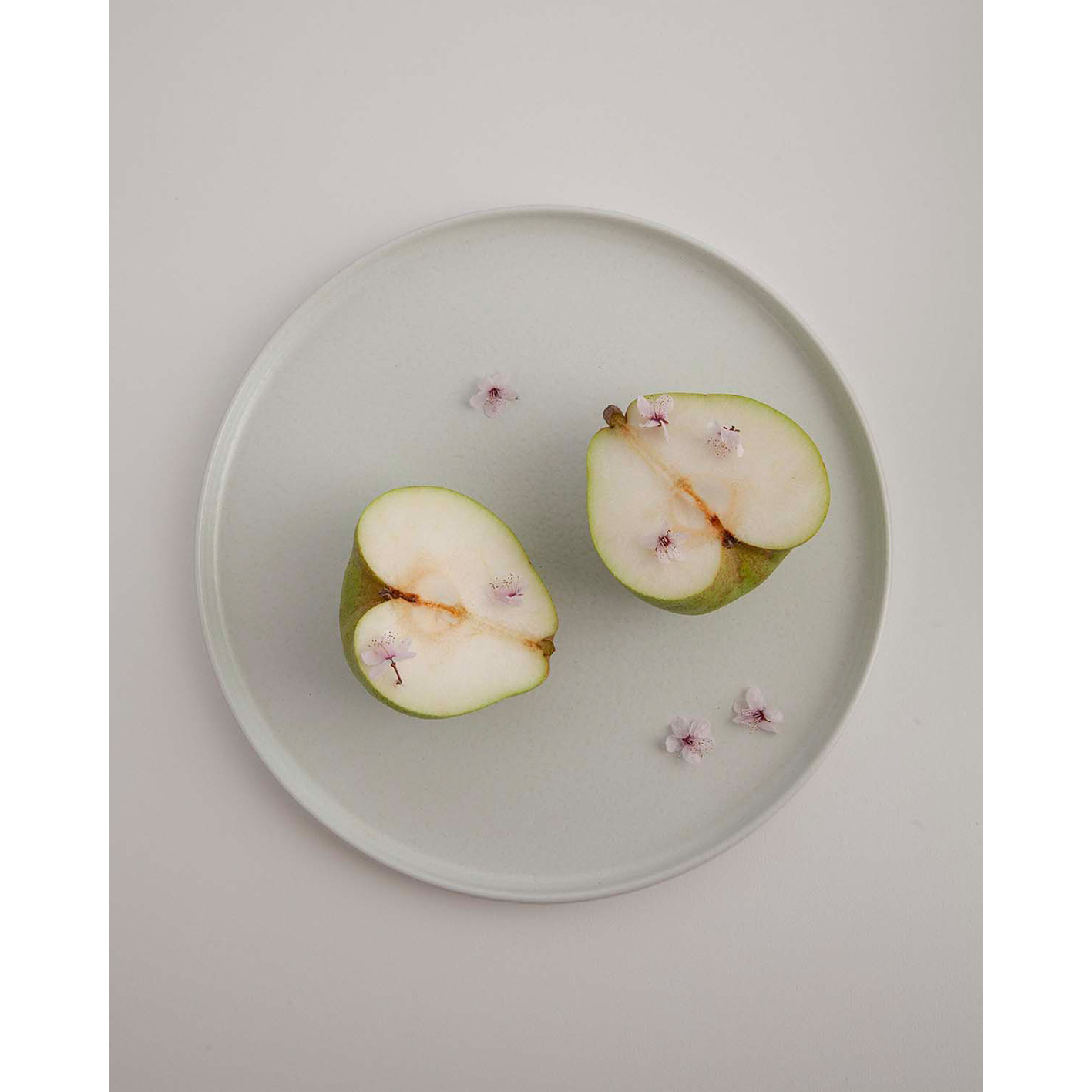 Costa Nova Dinner Plate 27cm Redonda White