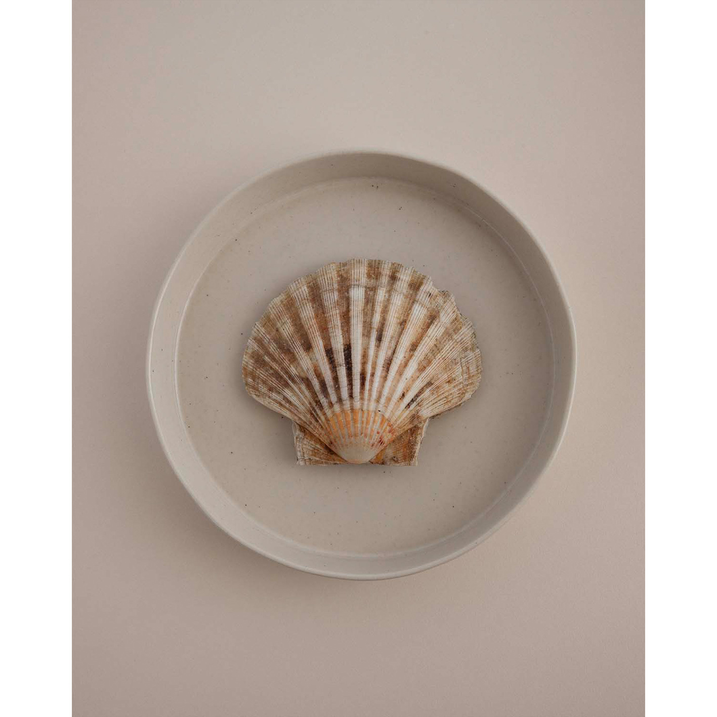 Costa Nova Bowl 20 cm Creme