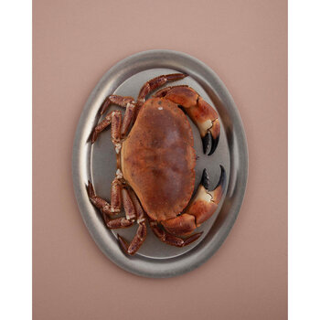 KOIA Plate 002 Large