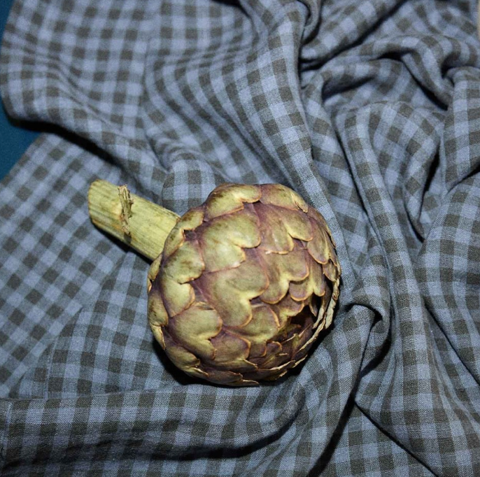 Gabrielle Paris Tablecloth Gingham Navy 175x250