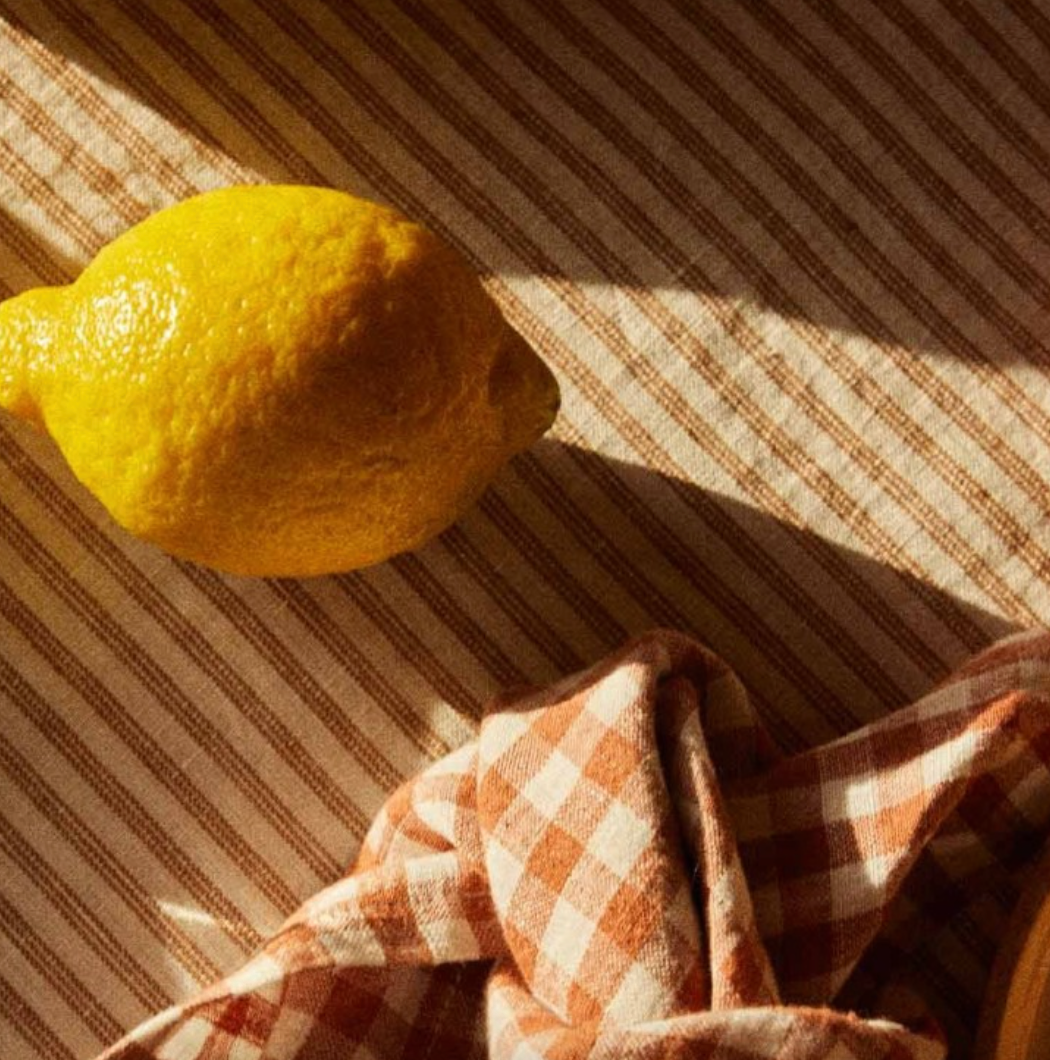 Gabrielle Paris Tablecloth Cafe Milk Thin Stripe 175x250