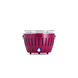 LotusGrill LotusGrill Tafelbarbecue Mini - Ø292mm - Paars LotusGrill LotusGrill Tafelbarbecue Mini - Ø292mm - Paars