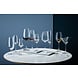 Schott Zwiesel Schott Zwiesel Ever (Classico) Martiniglas 86 - 0.27 Ltr - 6 stuks Schott Zwiesel Schott Zwiesel Ever (Classico) Martiniglas 86 - 0.27 Ltr - 6 stuks