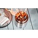 RedFire RedFire Volcano Pellet Tafelhaard Klein RVS RedFire RedFire Volcano Pellet Tafelhaard Klein RVS