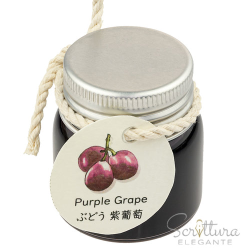 Gazing Far Gazing Far fountain pen ink - Purple Grape Gazing Far Gazing Far fountain pen ink - Purple Grape