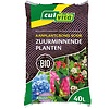 Aanplantgrond Zuurminnend