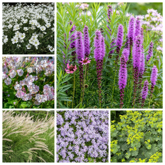 Borderpakket Onderhoudsvriendelijk (1 m2)