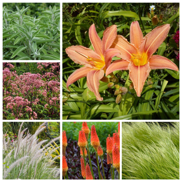 Borderpakket Zon F (9m2)