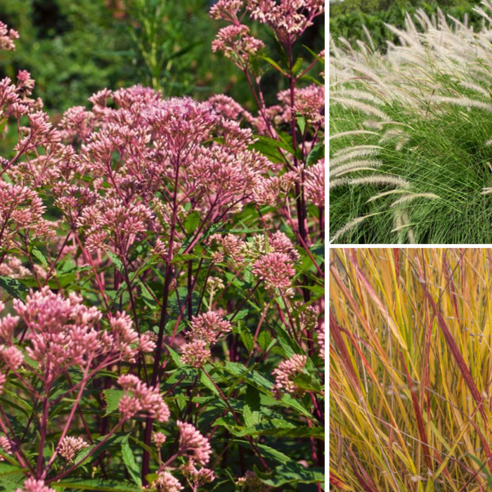 Borderpakket Zon H (3 m2)