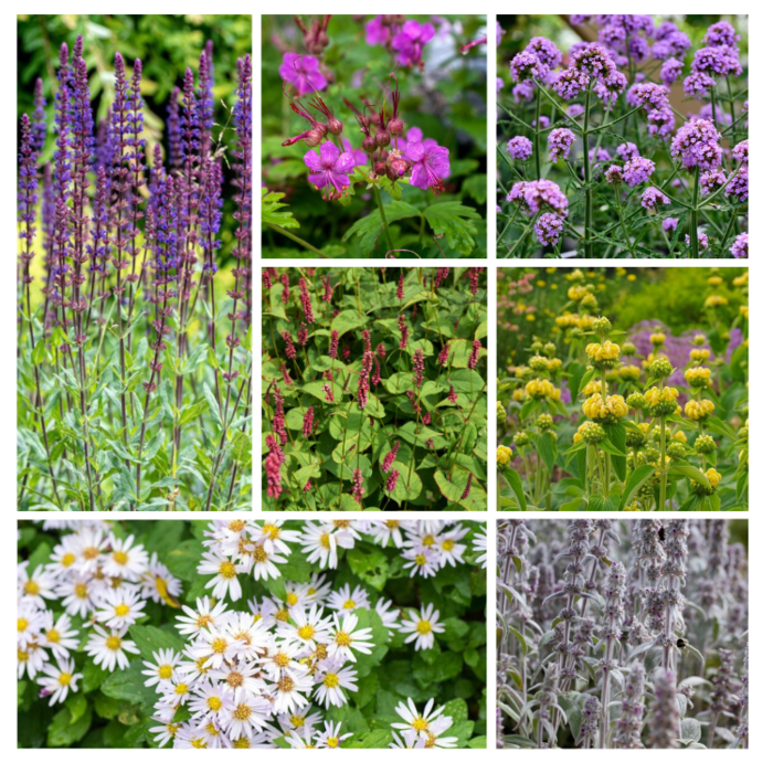 Borderpakket Onderhoudsarm D (4 m2)