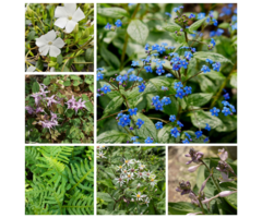 Borderpakket Onderhoudsarm E (3 m2)