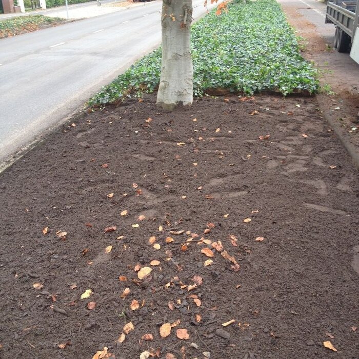 Plantenmat Hedera - Klimop Bordermat (57 x 38 cm)