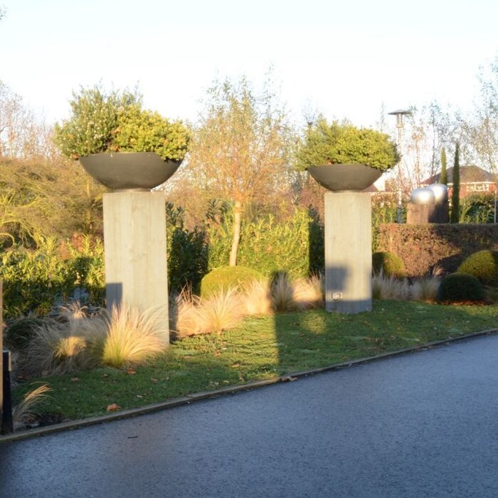 Plantenmat Sedum Bordermat (57 x 38 cm)