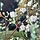 Meerstammige Zevenzonenboom - Heptacodium miconioides meerstammig