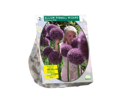 Sierui - Allium Pinball Wizard per 2