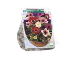 Anemoon - Anemone de Caen, Mix per 30