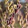 Salix gracillistyla 'Mount Aso' - Wilg (Kale wortel) -> PRE-ORDER