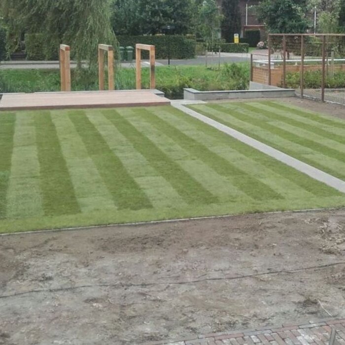 Speelgazon en siergazon