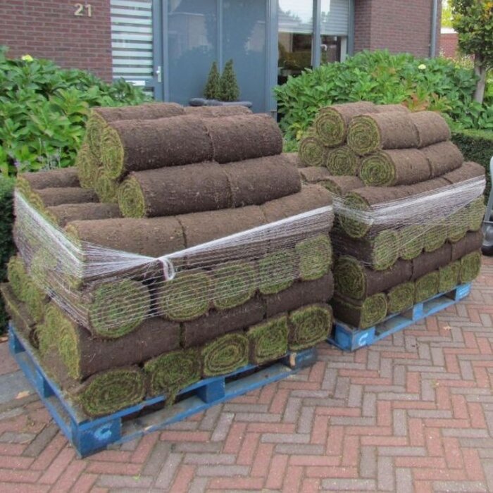 Speelgazon en siergazon