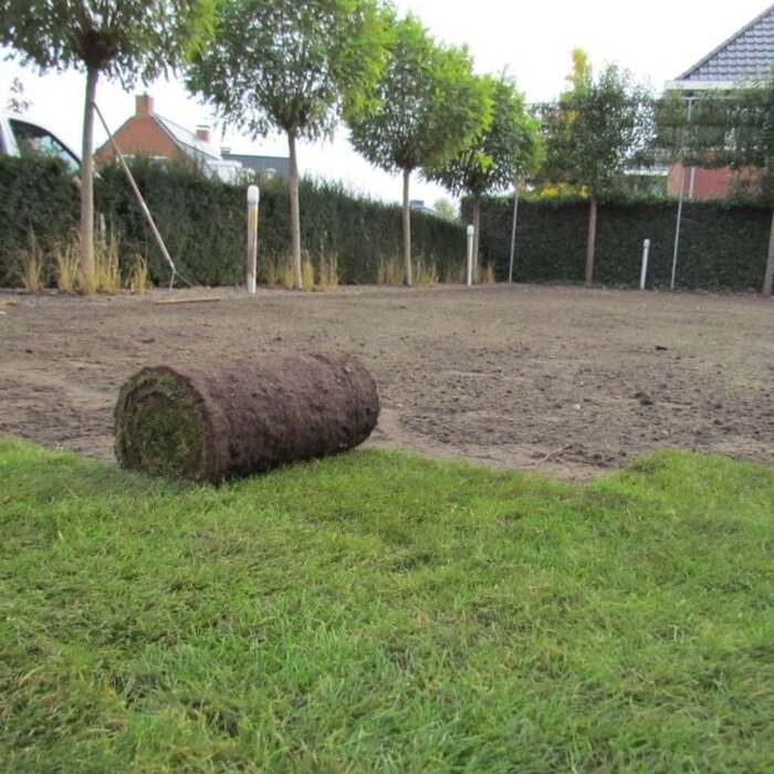 Speelgazon en siergazon