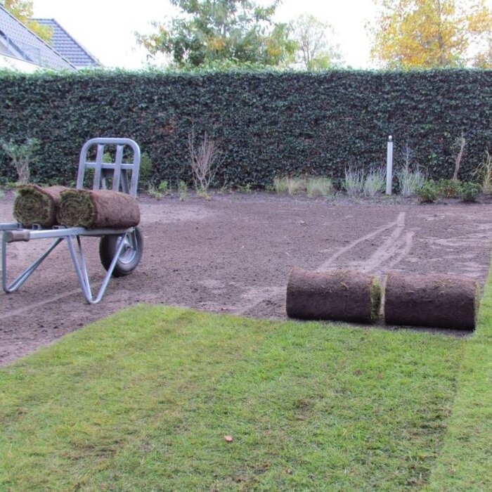 Speelgazon en siergazon