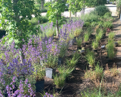 Hoe vul je borders in de tuin?