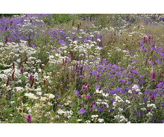 Borderpakket Zon A (9 m2)