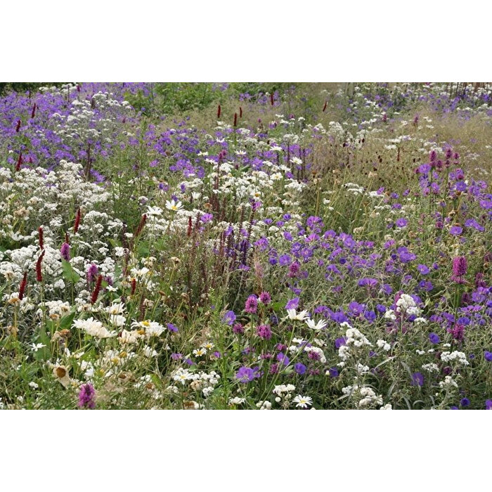 Borderpakket Zon A (9 m2)