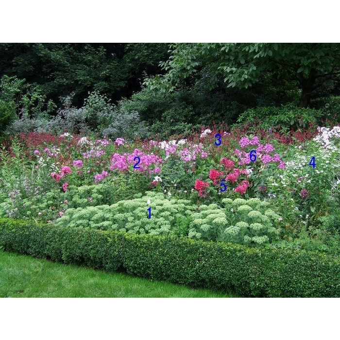 Borderpakket Zon B (8 m2)