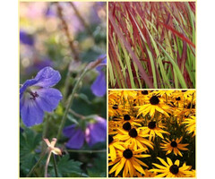 Borderpakket Zon C (3 m2)