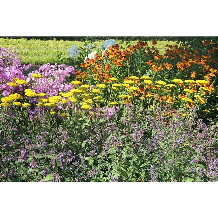 Borderpakket Zon E (3 m2)