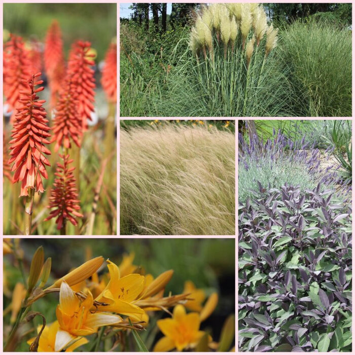 Borderpakket Zon F (9m2)