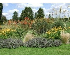 Borderpakket Zon F (9m2)