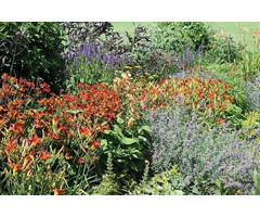 Borderpakket Zon G (4 m2)