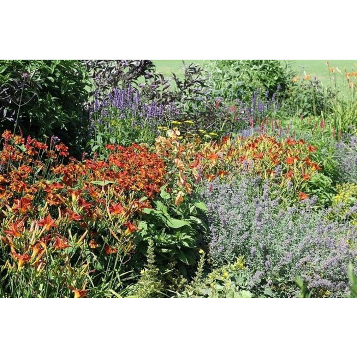 Borderpakket Zon G (4 m2)