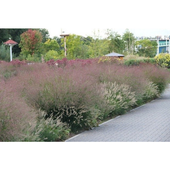Borderpakket Zon H (1 m2)