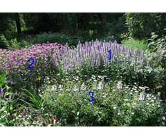 Borderpakket Zon L (3 m2)