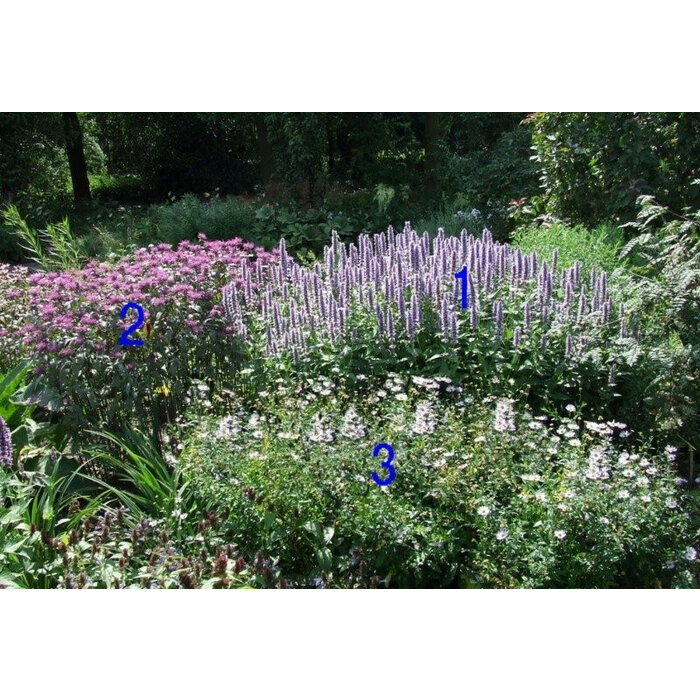 Borderpakket Zon L (3 m2)