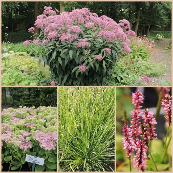 Borderpakket Zon M (4 m2)