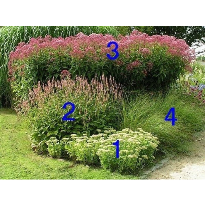 Borderpakket Zon M (4 m2)