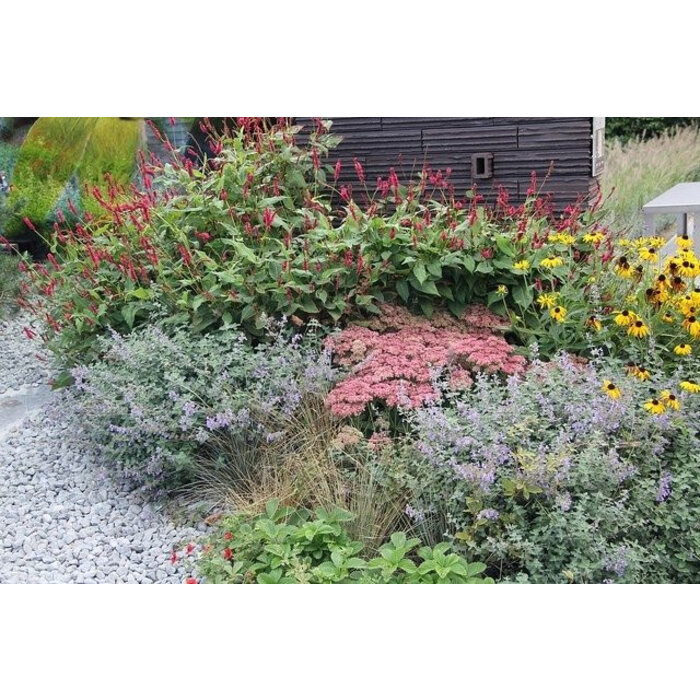 Borderpakket Zon N (2 m2)