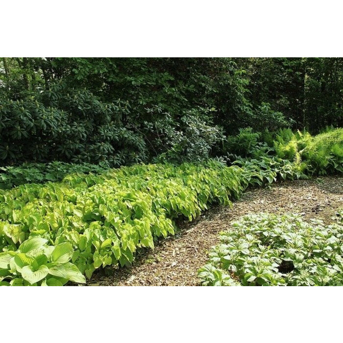 Borderpakket Onderhoudsarm  A (3 m2)