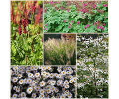 Borderpakket Onderhoudsarm  B (4 m2)