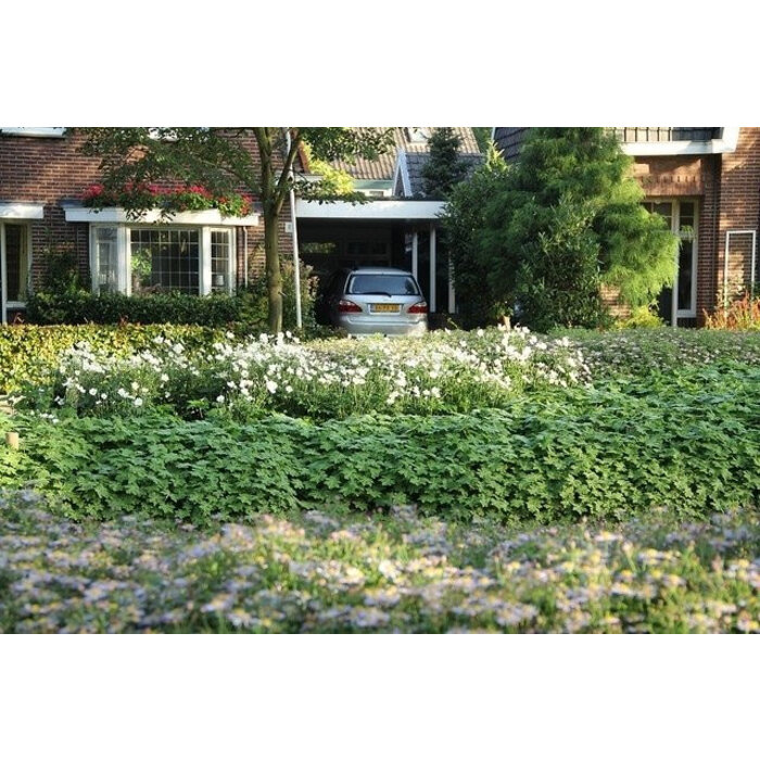 Borderpakket Onderhoudsarm C (4 m2)