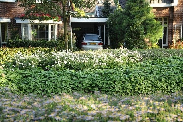 Borderpakket Onderhoudsarm C (2 m2)