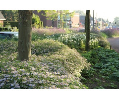 Borderpakket Onderhoudsarm C (2 m2)