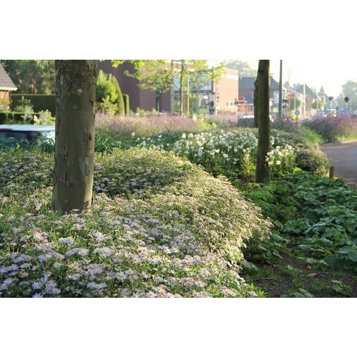 Borderpakket Onderhoudsarm C (2 m2)