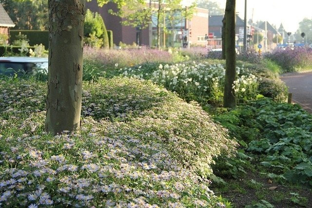 Borderpakket Onderhoudsarm C (2 m2)
