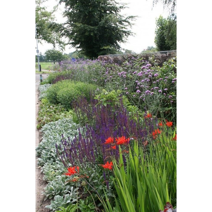 Borderpakket Onderhoudsarm D (4 m2)