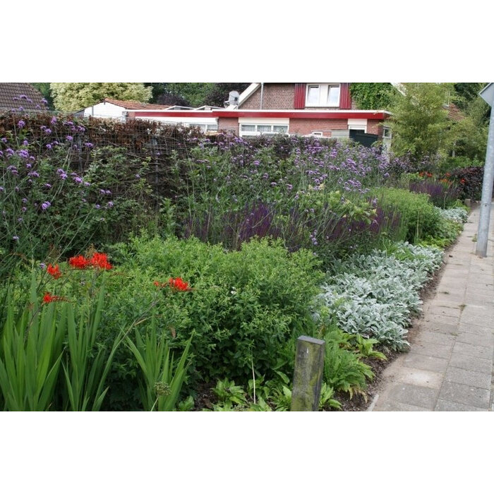 Borderpakket Onderhoudsarm D (4 m2)